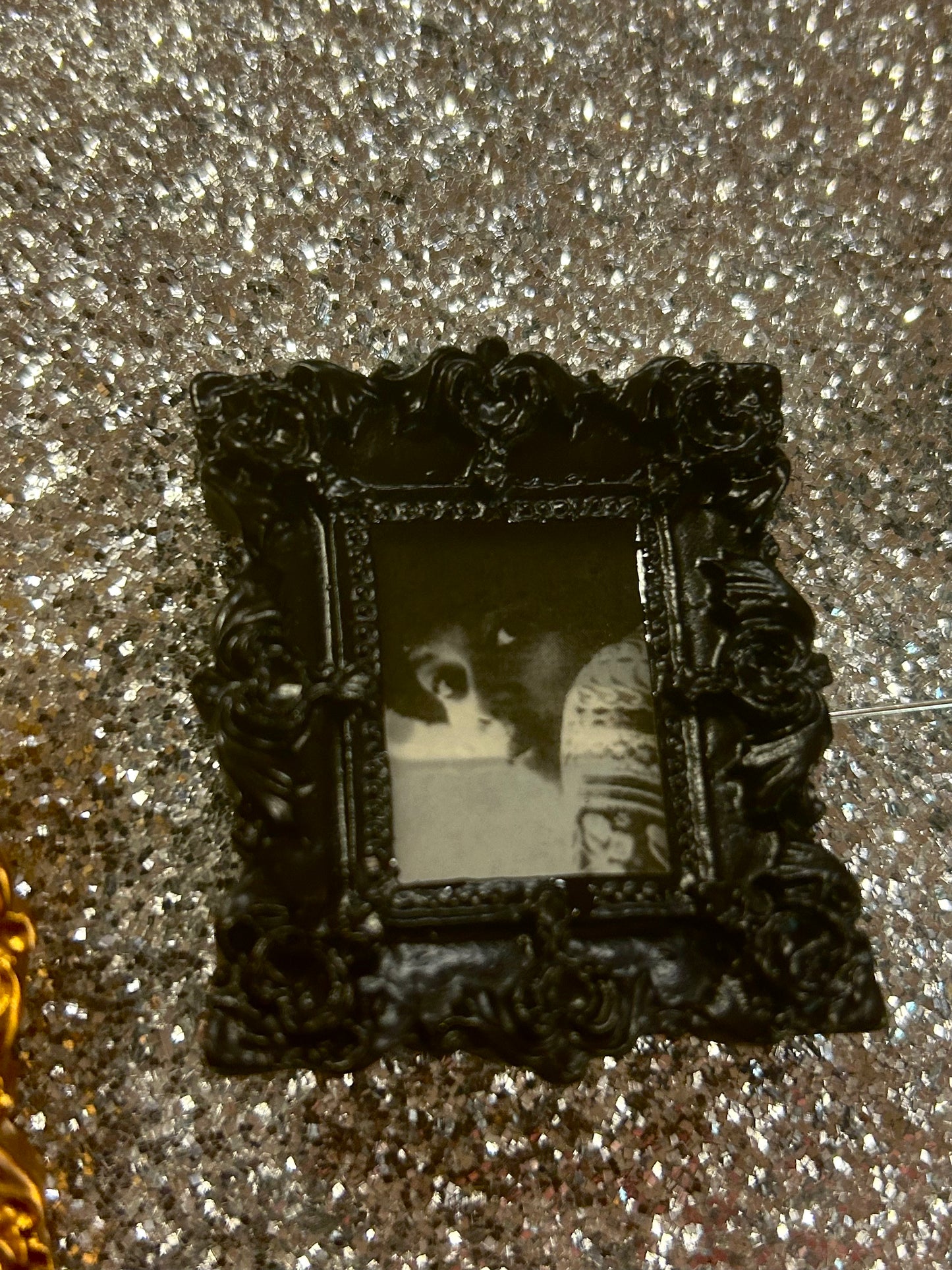 Portrait Pins