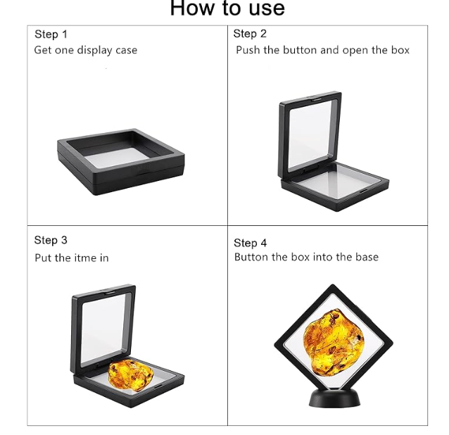 3D Display Case