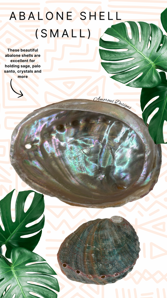 Abalone Shells