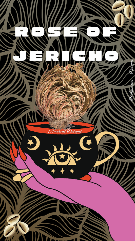 Rose of Jericho